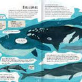 Explora la Antártida en 360 - Leo Leo Libros