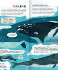 Explora la Antártida en 360 - Leo Leo Libros