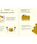 El mundo de las abejas - Leo Leo Libros