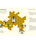 El mundo de las abejas - Leo Leo Libros