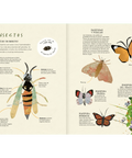 Explora tu mundo natural - Leo Leo Libros