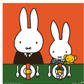La fiesta de Miffy - Leo Leo Libros