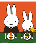 La fiesta de Miffy - Leo Leo Libros