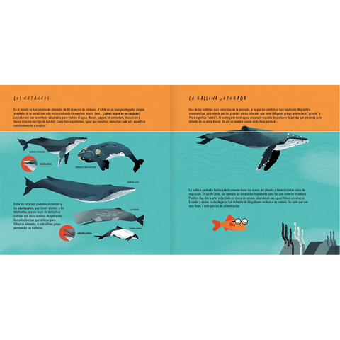 La ballena jorobada - Leo Leo Libros