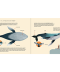 La ballena jorobada - Leo Leo Libros