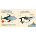 La ballena jorobada - Leo Leo Libros