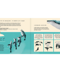 La ballena jorobada - Leo Leo Libros