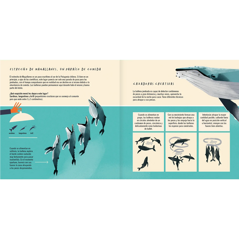 La ballena jorobada - Leo Leo Libros