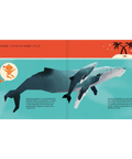 La ballena jorobada - Leo Leo Libros