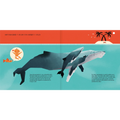 La ballena jorobada - Leo Leo Libros
