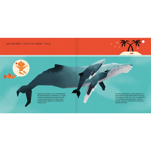La ballena jorobada - Leo Leo Libros