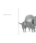 Los sentimientos - Leo Leo Libros