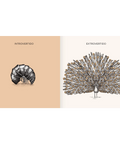 Mi naturaleza - Leo Leo Libros