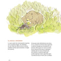 Osos (pardo, blanco, negro) - Leo Leo Libros