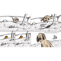 Simplemente Burrus - Leo Leo Libros